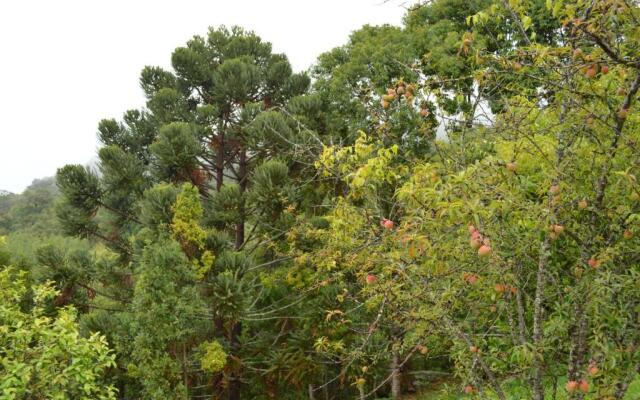 Chalés Serrinha do Papagaio