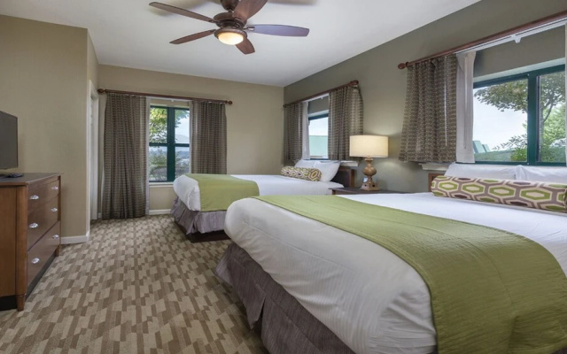 Smoky Mountains 3BD Deluxe