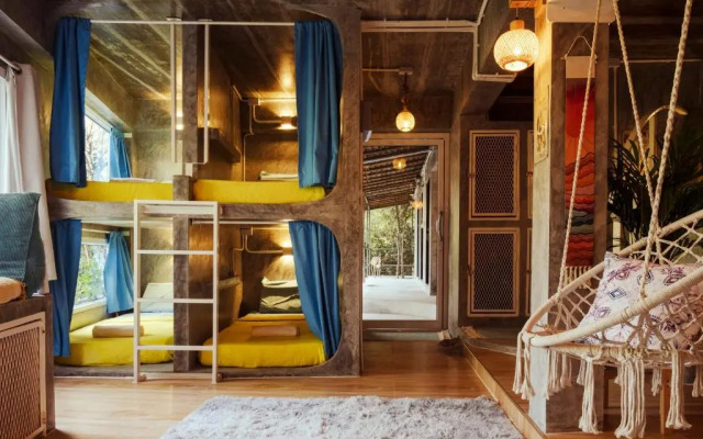 Wonderland Jungle Hostel
