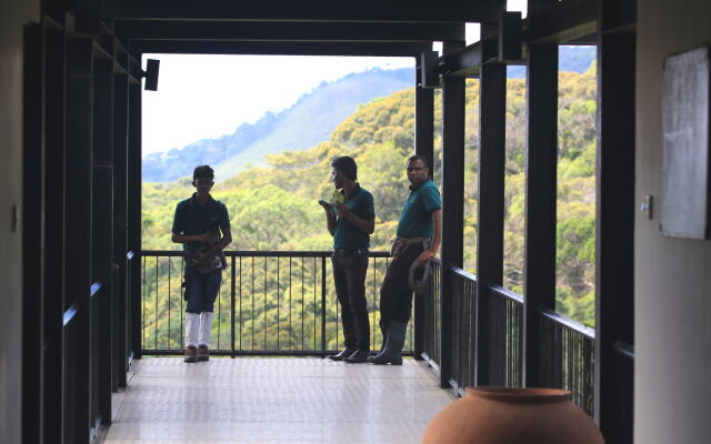 The Rainforest Ecolodge