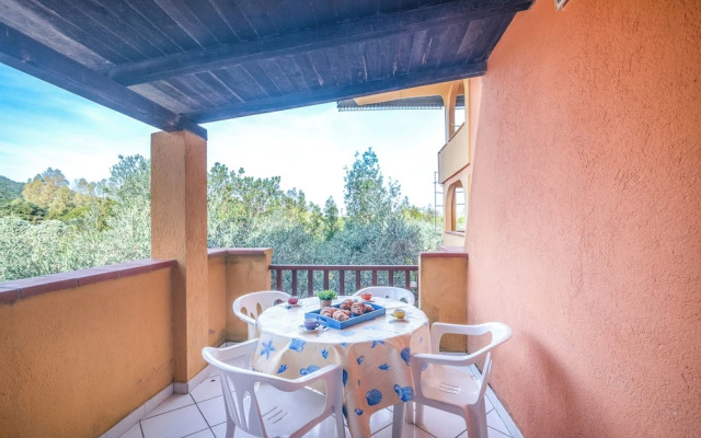 Trilo Super Standard 205 Ginepro