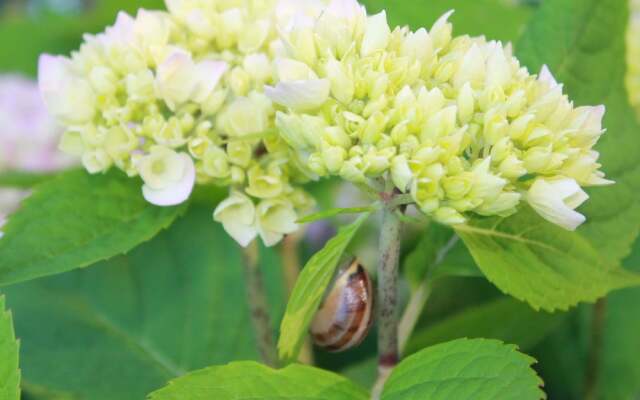 Rustic Apartment in Biendorf With Sauna