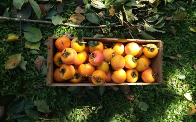 Pousada Serra da Mantiqueira