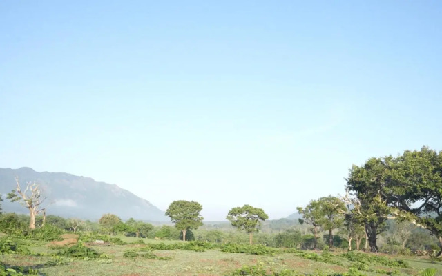 Wild Tusker Masinagudi by LexStays