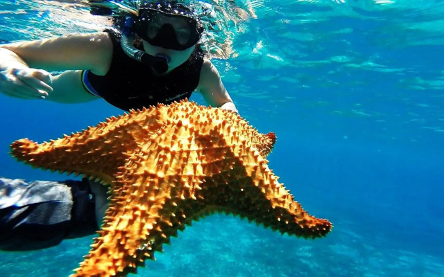 Bavaro Beachfront Penthouse 4 bdr/5 Bth 10+ Guests