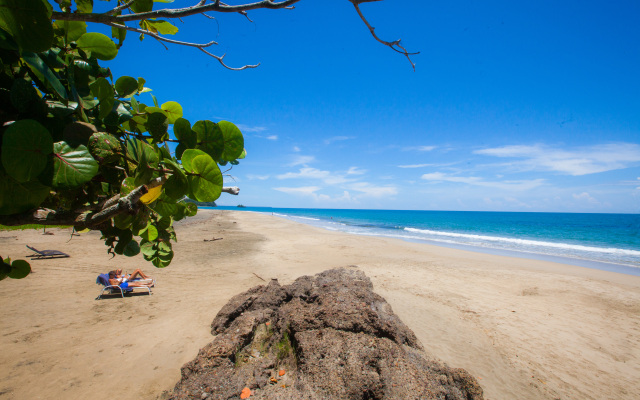 Le Cameleon Puerto Viejo