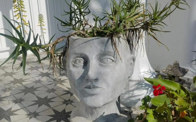 The Yellow Door Guesthouse