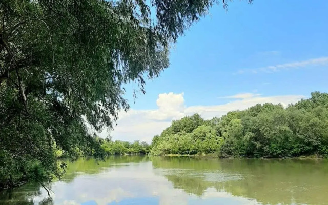Творческий глэмпинг Скворечник
