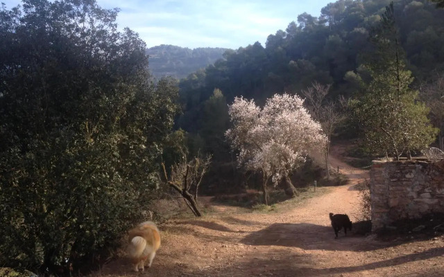 Masia CasaJoana Rural