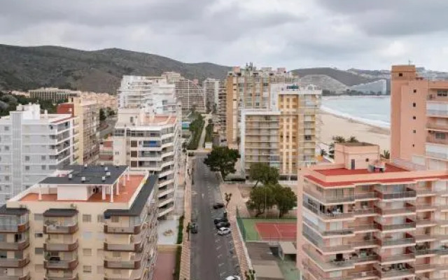 Florazar 1, Iv-B 14-D