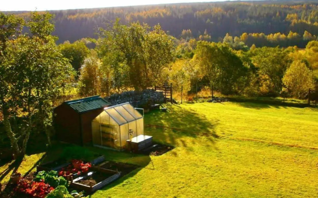 Serendipity Bed And Breakfast
