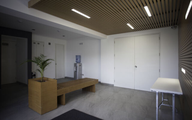 Palmetto Hotel Business San Miguel