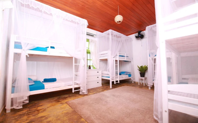 Bluefin Adventure - Hostel