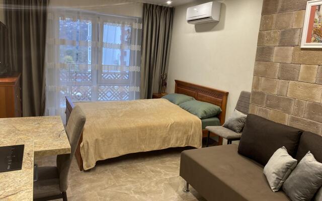 Апартаменты на улице Пластунская 100Б