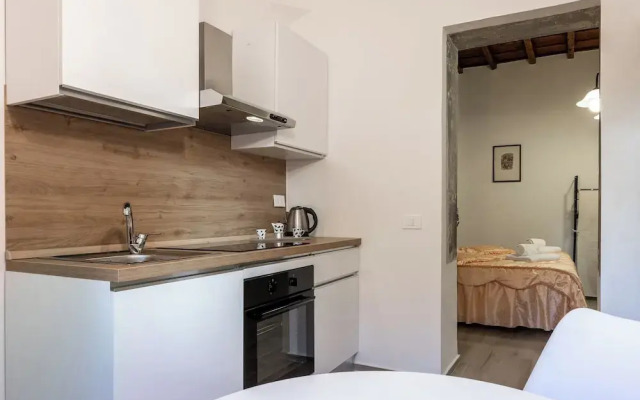 Carmine Apartment San Frediano