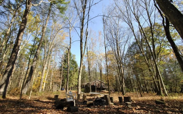 Paradise on Hurricane Creek