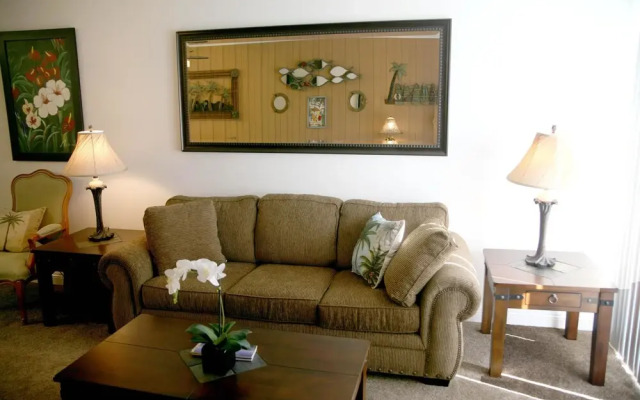 Panoramic Perfection