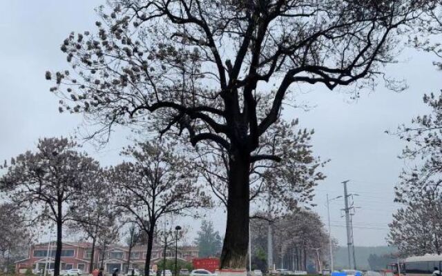 Starway Hotel Lankao Wanghu