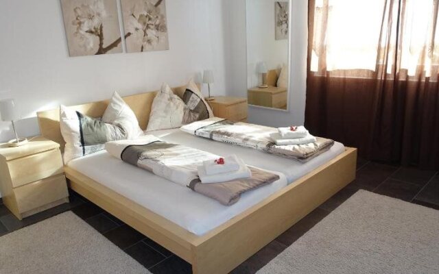 Swiss Lakeview Apartment
