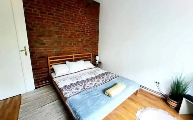 Boheme Proprety in the Heart of Timisoara