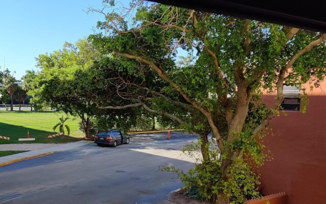 217 Hollywood Beach Resort