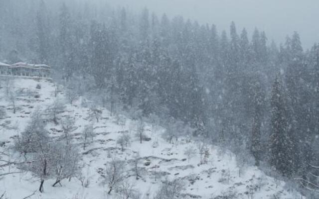 Pines and Peaks Hotel