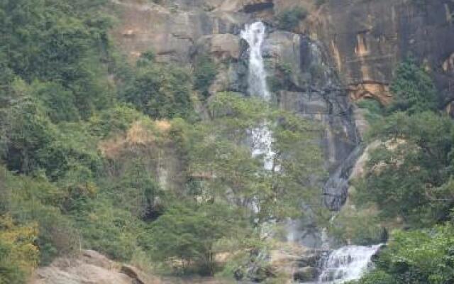 Eco Salient View