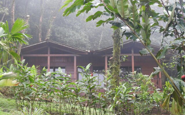 Heliconias Lodge and Rainforest