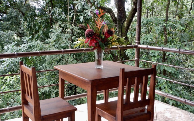 Arbol Verde Villas