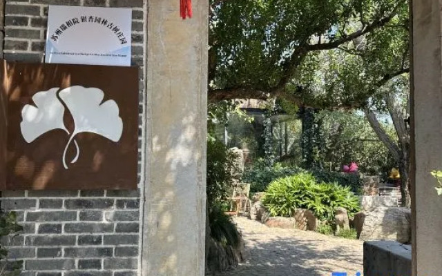 Suzhou Ruixiangyuan · Ginkgo Garden Villa (Taihu Lake Eastern Mountain)