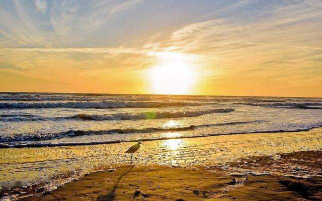 Oceanwalk 17-503 Apartment 3