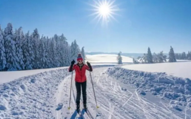 Ferienwohnung Weber Alpenveilchen