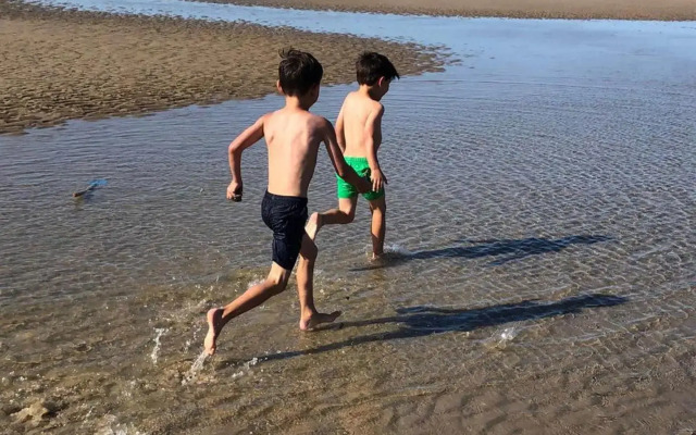 De Tureluur Bruinisse