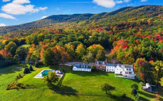Blue Bear Inn