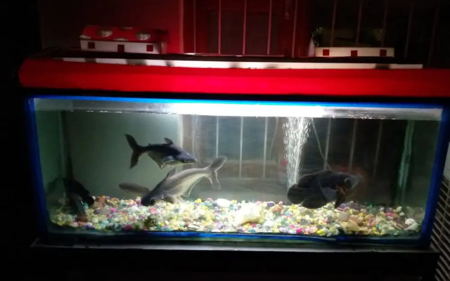 Siddhivinayak Temple Guest House