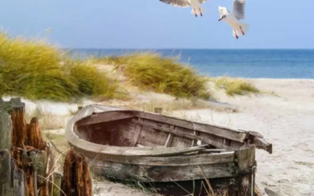 Haus am Meer Ostsee Insel Rügen Fischerweg 3 Wlan