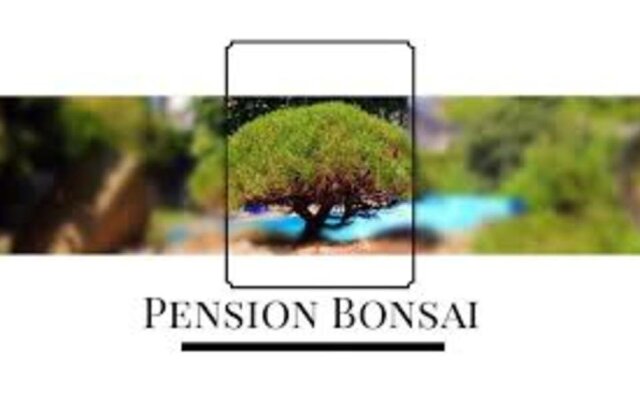 Bonsai Pension