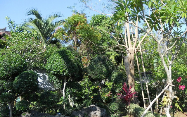 Avisara Villa & Guest House