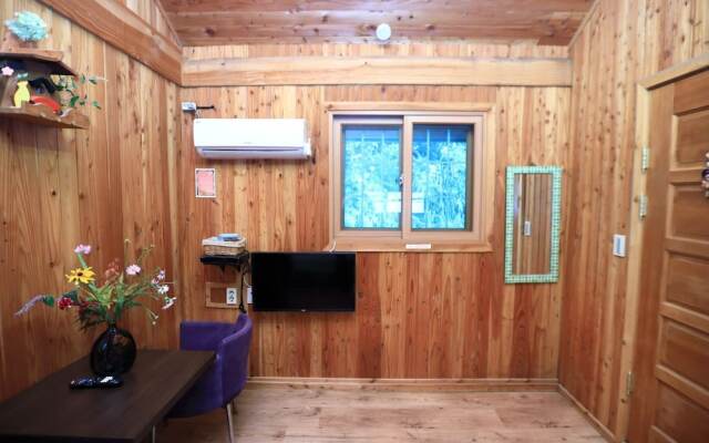 Wonju Chiak Mt. Club Pension