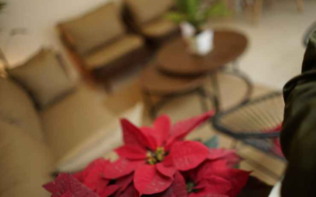 Lynh House Hoang Quoc Viet Hanoi