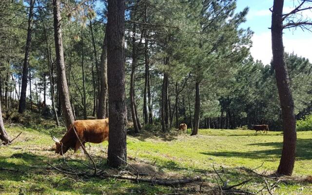 Apartamento Fonte de Ons Con Piscina