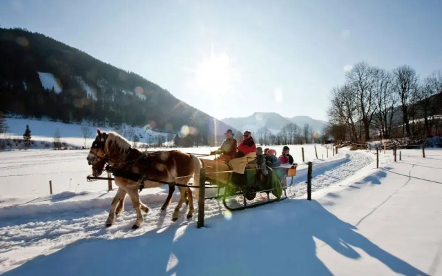 Snug Chalet in Murau With Sauna