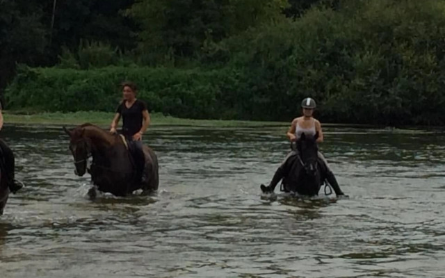 Domaine De La Gaucherie