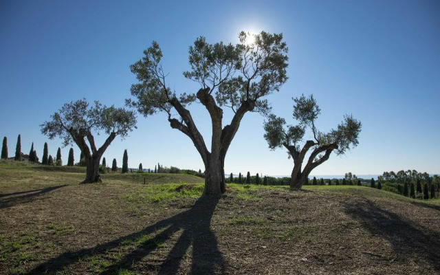 Riva Toscana Golf Resort & SPA