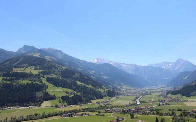Wildauer (ZAZ140)