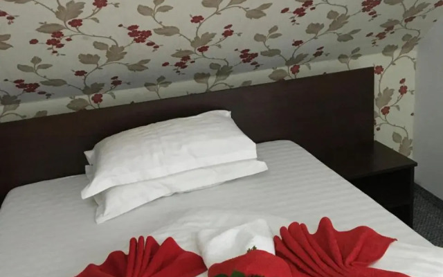 Pension La Viorel
