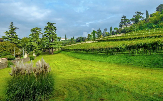 Il Vigneto, Verona, Pool, Wifi