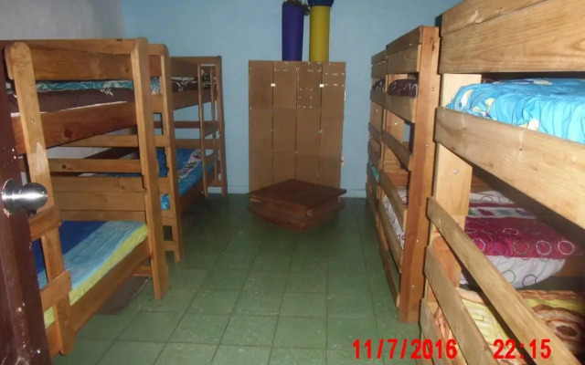 The Only Backpackers Morelia
