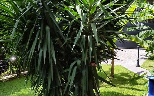 Il Giardino di Giulia 2