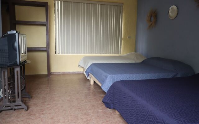 House of Ficus Banderilla,veracruz-mexico